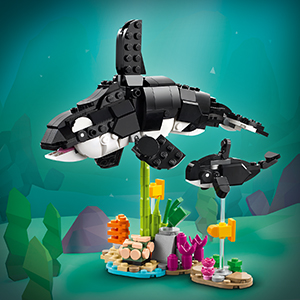 31165_CREATOR