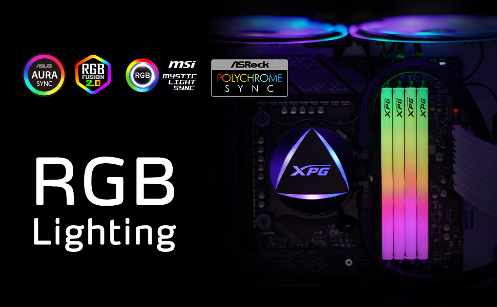 CASTER DDR5 RGB