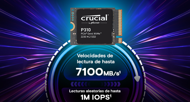 P310 NVMe
