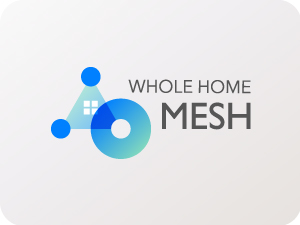 Mesh
