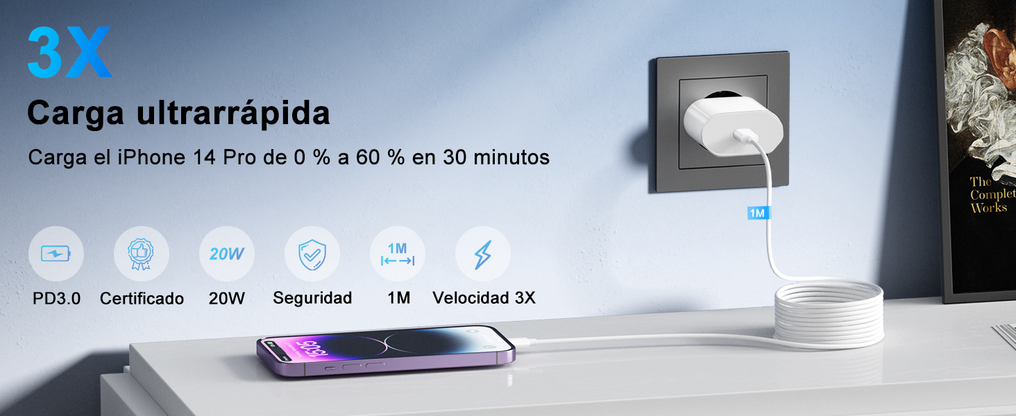Cargador iPhone
