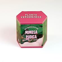 Huerto urbano, semillas, regalo, original, sostenible, natural, amigo invisible, DIY, cultivo