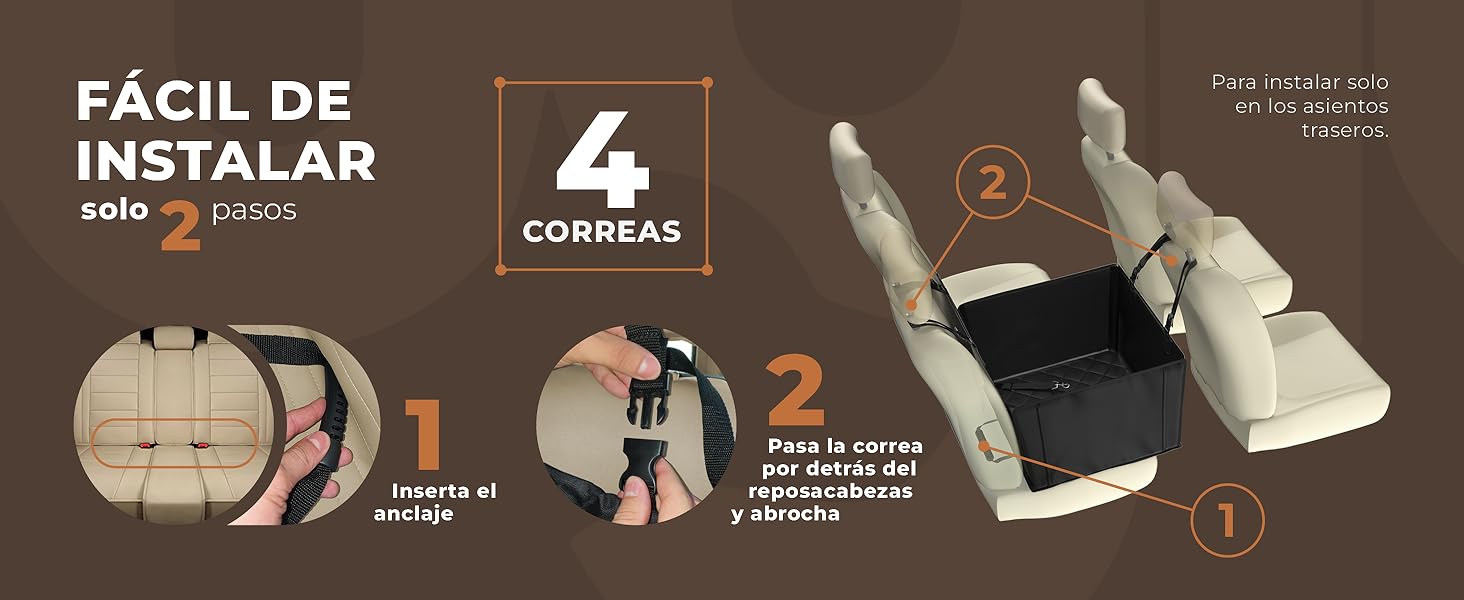 correa coche perro homologado