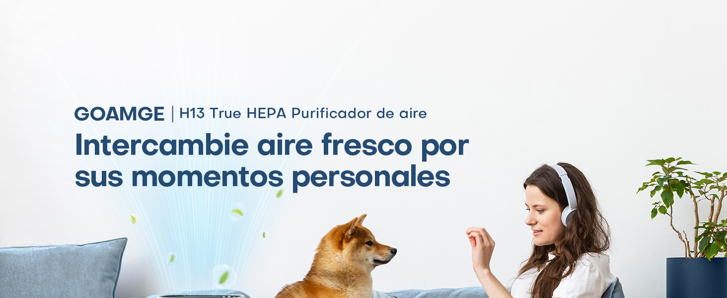 Purificador de aire