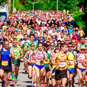 Gran multitud de corredores de maratón en una carretera arbolada, vistiendo ropa deportiva colorida y baberos de carreras