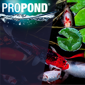 Propond All Seasons