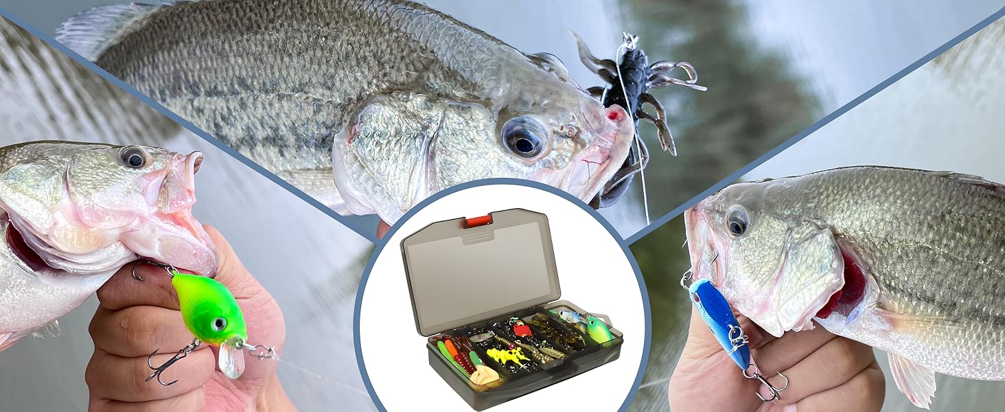kit esche da pesca spinning