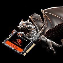 FireCude 520N SSD (Charmander)