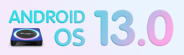 ANDROID 13.0