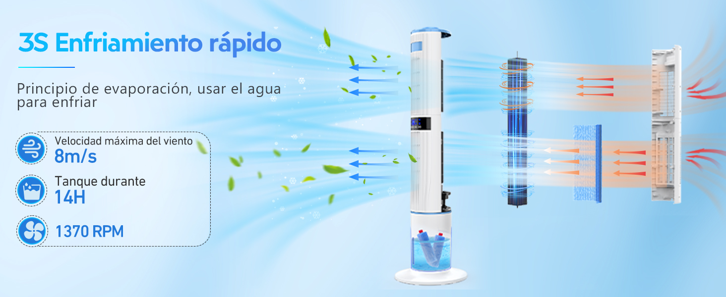 rapidp
