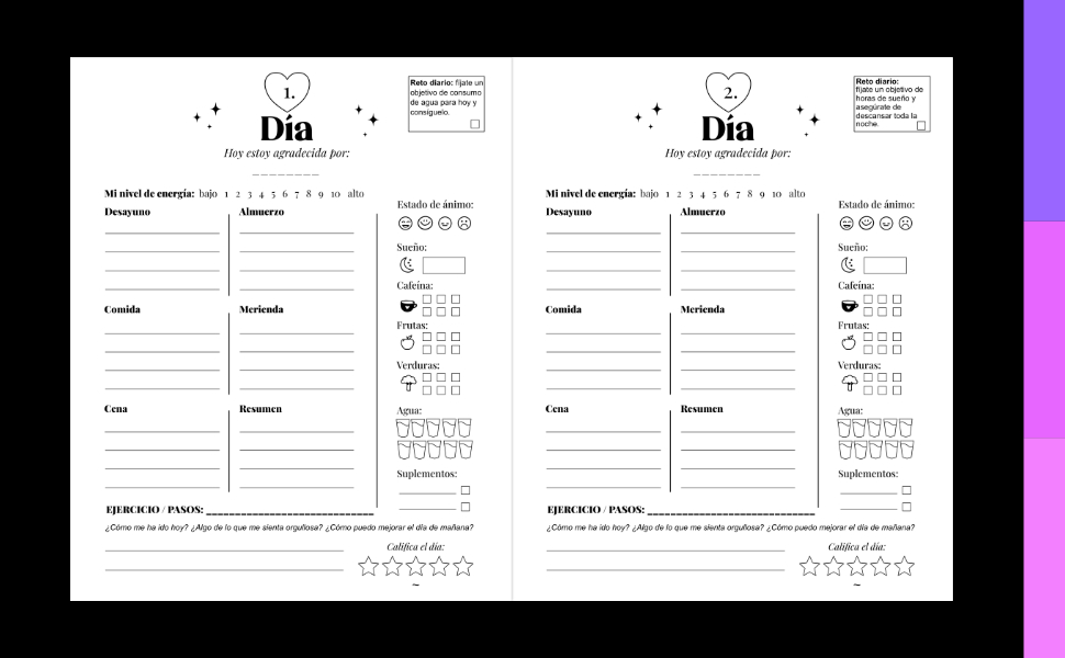 Diario de Comidas 90 Días