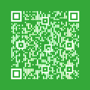 Papel Higienico, Scottex, Original, 2 capas