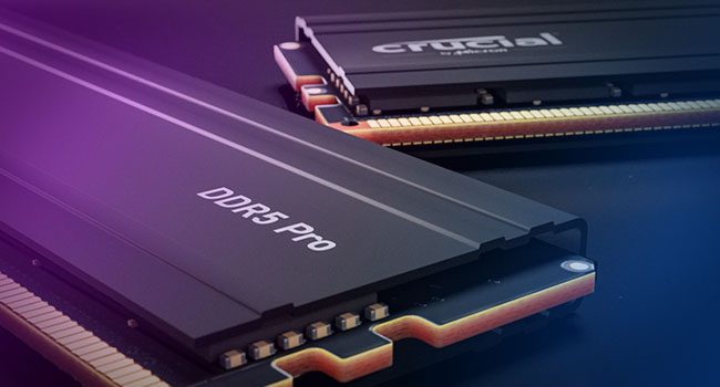 Crucial DDR5 Pro