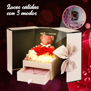 Cumpleaños, aniversario regalo para mamá esposa novia