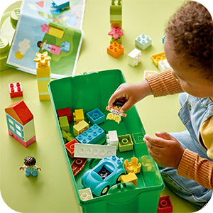 10913_DUPLO