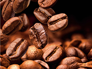 cafetera siemens, cafetera automática, cafetera espresso, cafetera