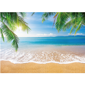 beach003