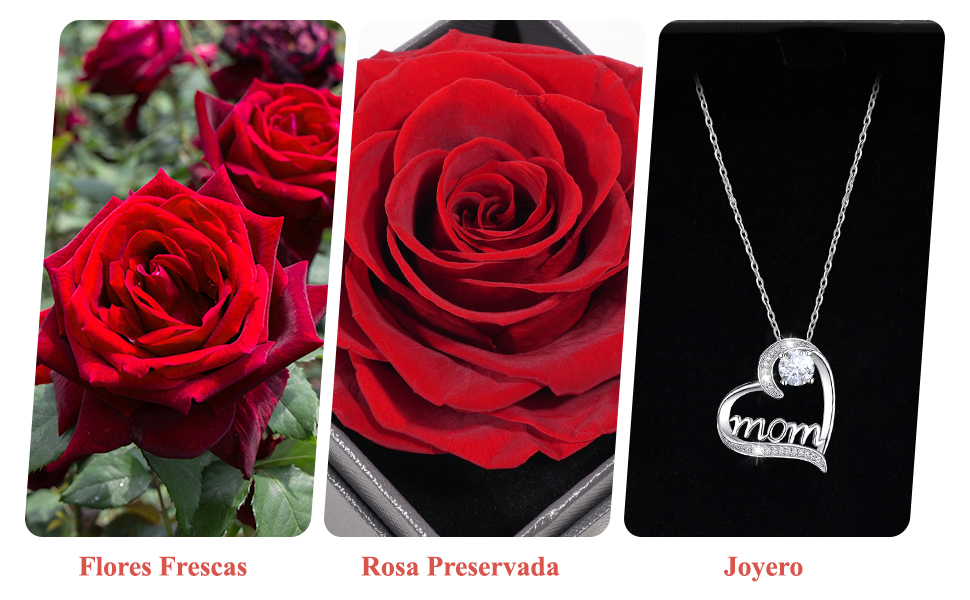 Rosa Eterna Regalo Originale para Mujer