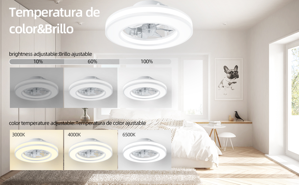 ceiling fan