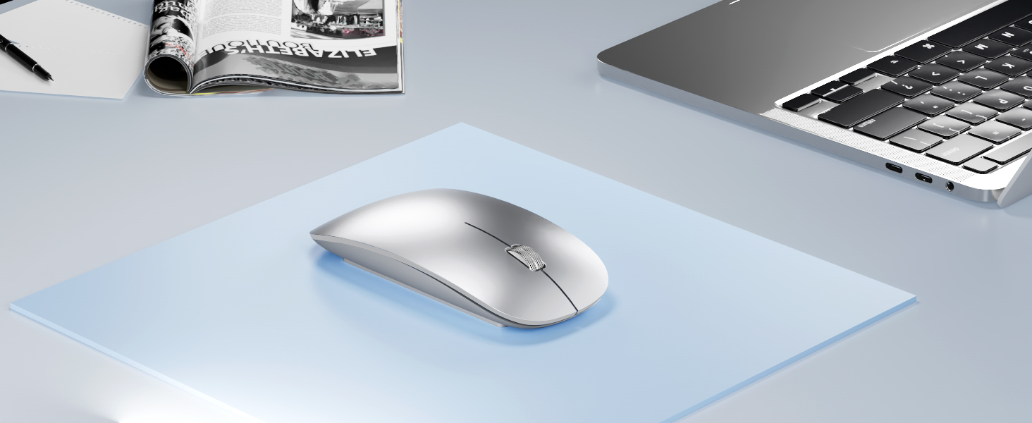 mouse