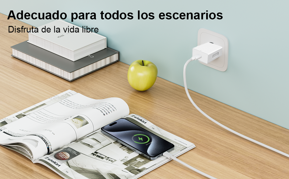 20W cargador