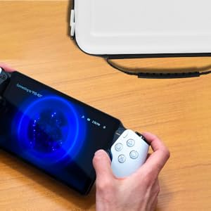 Estuche para PS Portal
