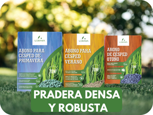 Abono Primavera
