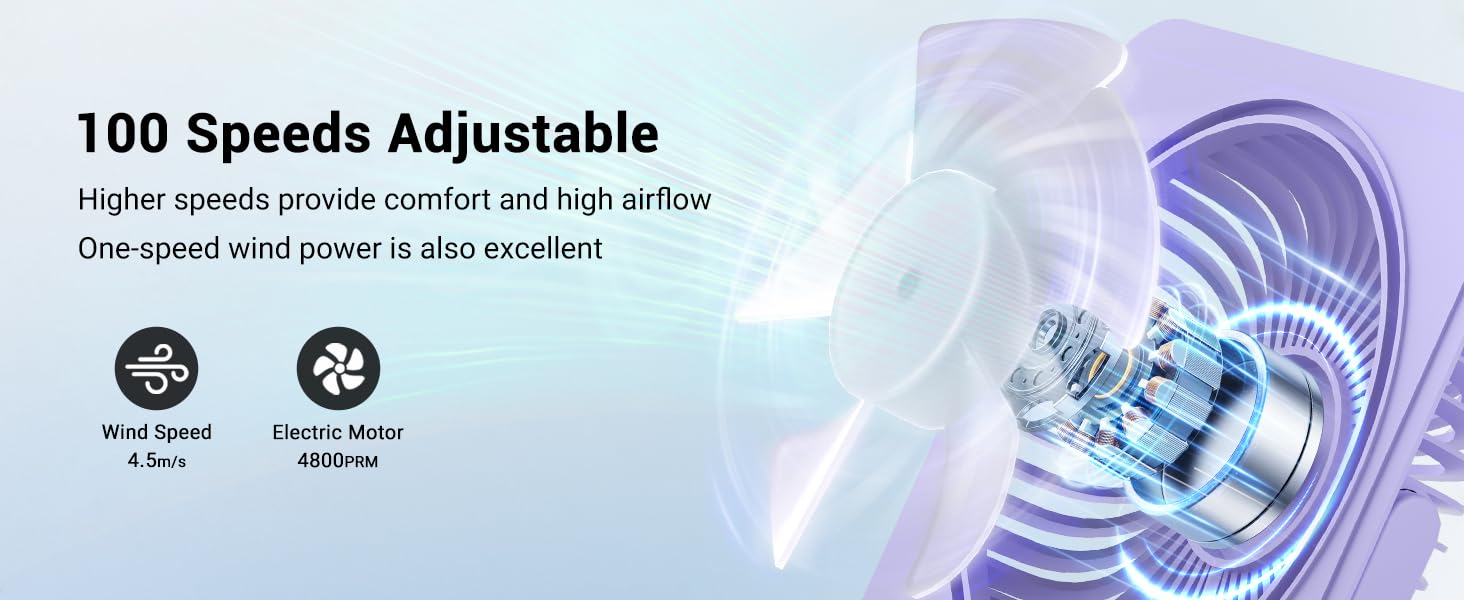 Table fan