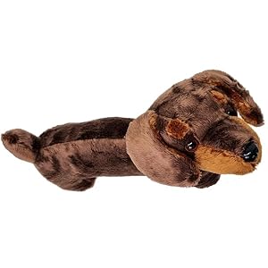 sausage dog