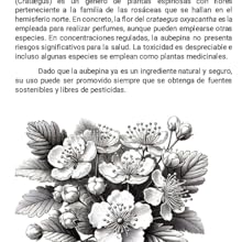 perfumes, recetas, aguas de colonia, hacer perfumes, libro perfumes, historia perfumes