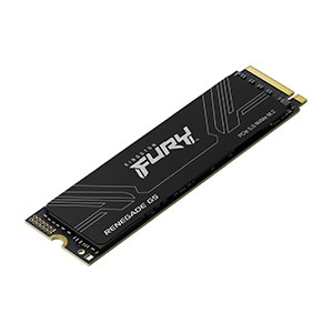 Fury Renegade SSD SYR2S