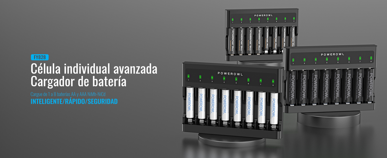 cargador pilas recargables