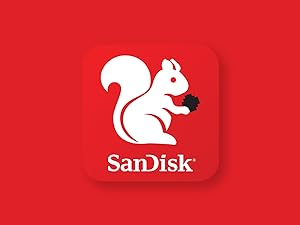SanDisk Ultra Luxe Dual Drive Go Lavender