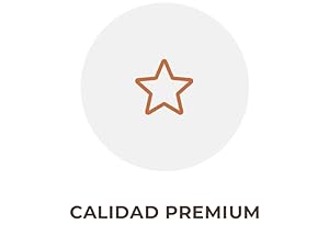 cinturón seguridad perro coche
