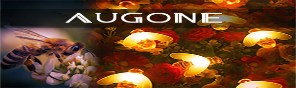 Augone