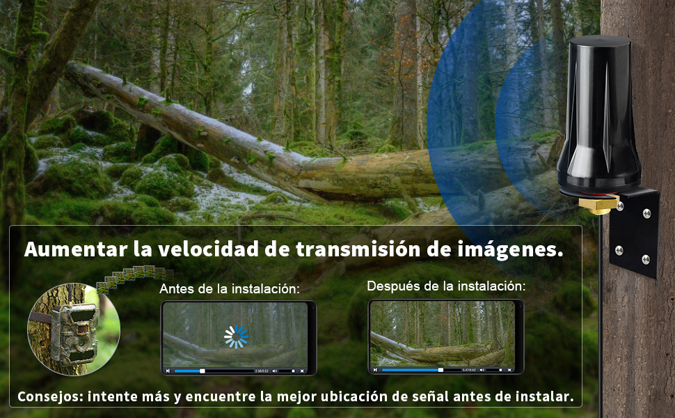 4G ANTENA
