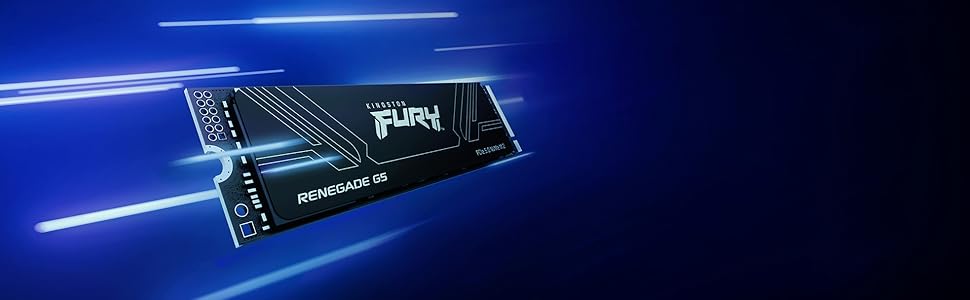 Fury Renegade SSD SYR2S