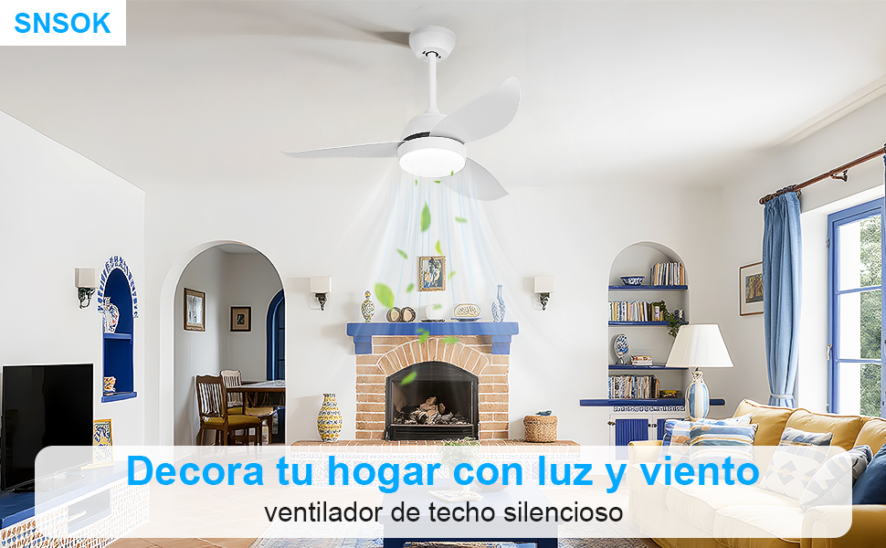 ceiling fan with light