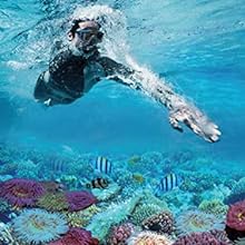 Buceo