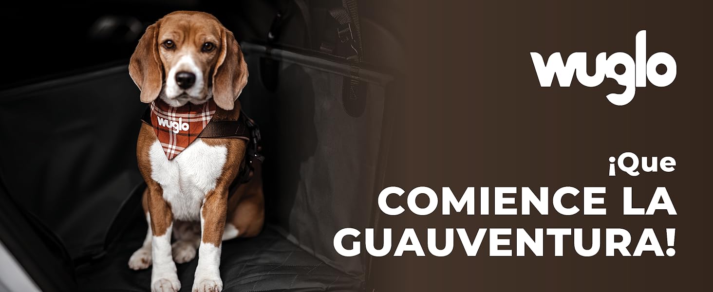 cinturon perro coche