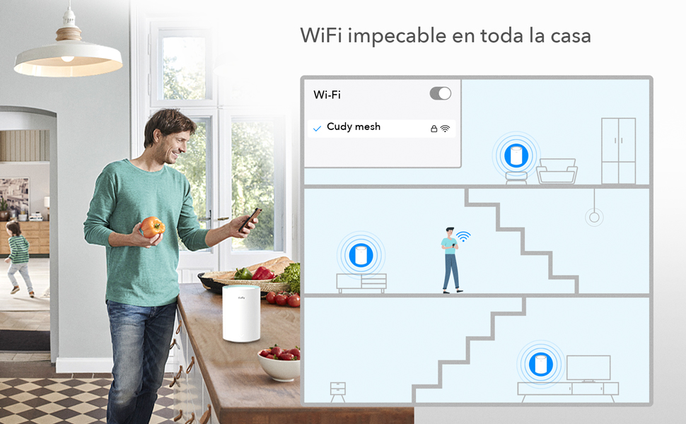mesh wifi