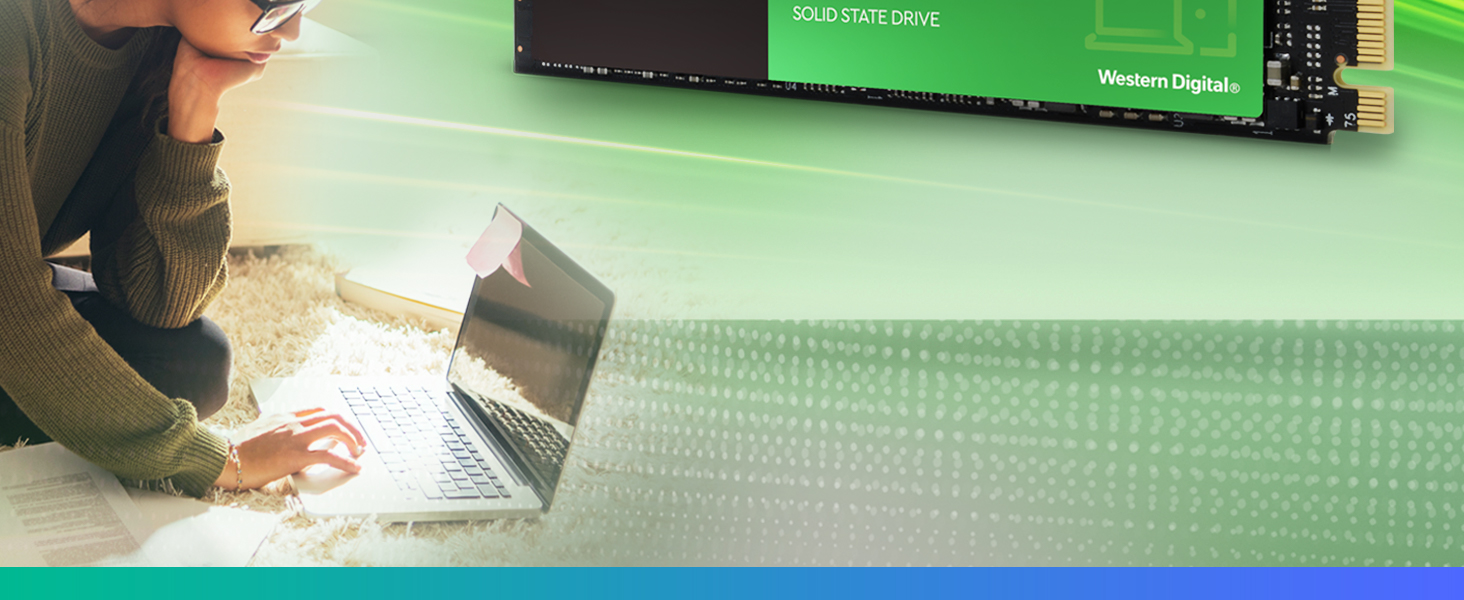 WD Green SN350 NVMe SSD