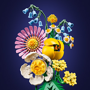 10347_BOTANICALS