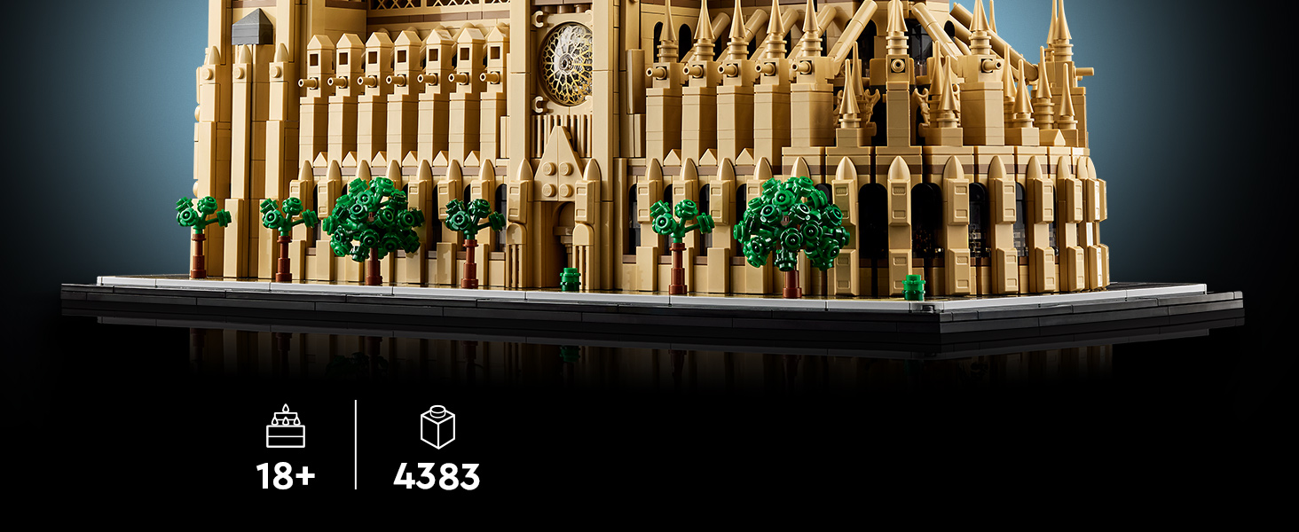 21061_Premium A+