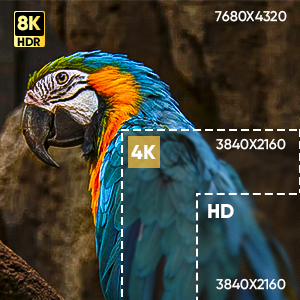 hdmi 2.1