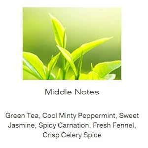 Green Tea
