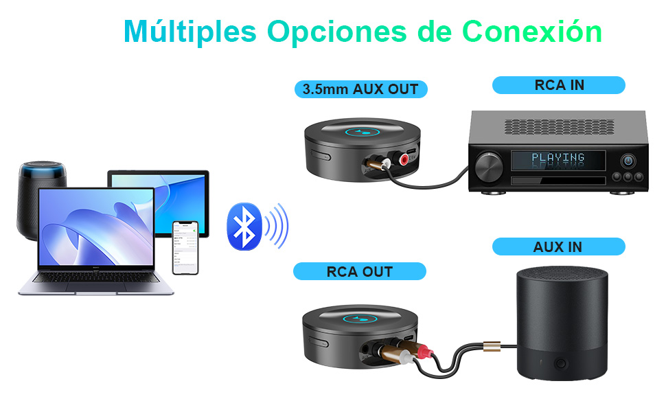 Salidas AUX RCA
