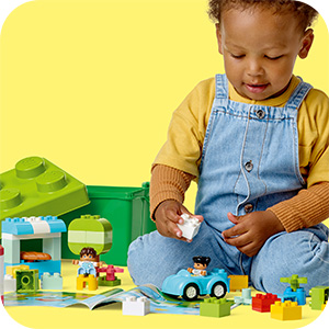 10913_DUPLO