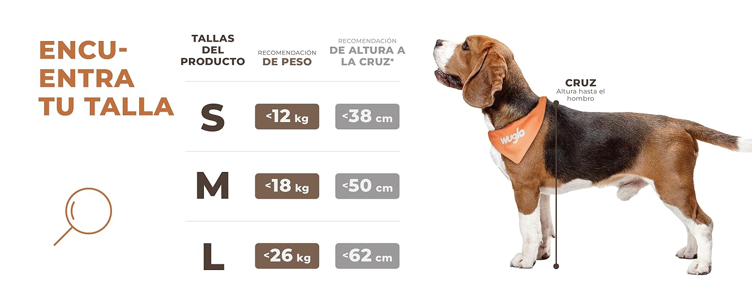 cinturon coche perro homologado