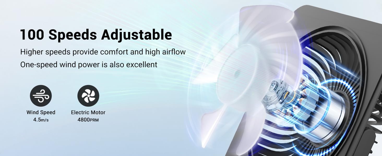 Table fan